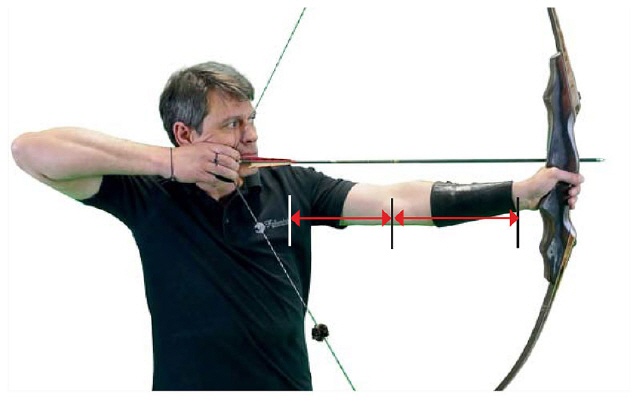 Konstitutionelle Eigenschaften: